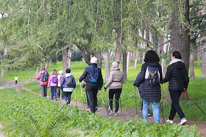 Nordic Walking: un allenamento completo in mezzo al verde